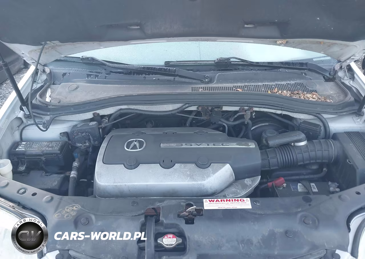2004 Acura Mdx VIN:2HNYD18974H539100 - 10