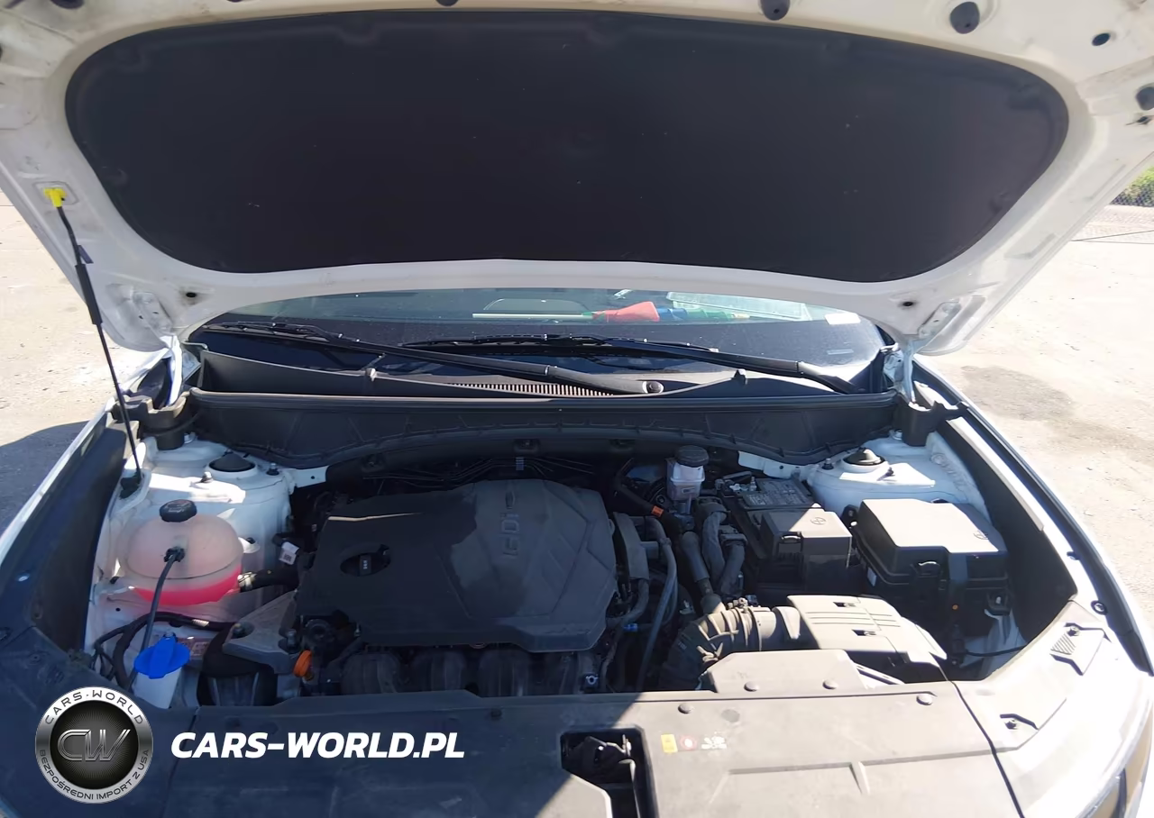2023 Hyundai Tucson Limited VIN:5NMJECAE9PH263311 - 10