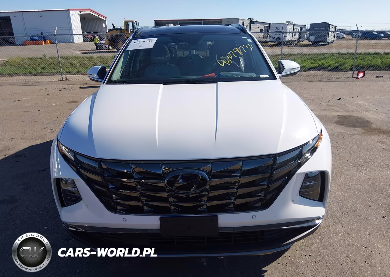 2023 Hyundai Tucson Limited VIN:5NMJECAE9PH263311 - 12