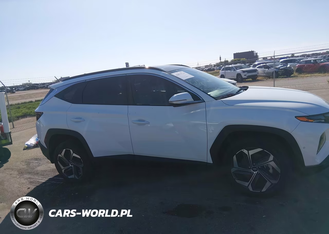 2023 Hyundai Tucson Limited VIN:5NMJECAE9PH263311 - 13