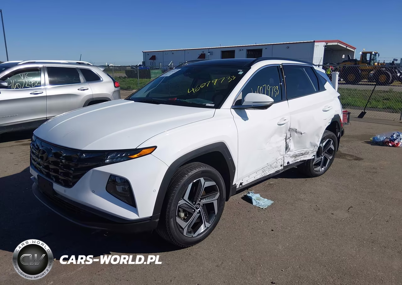 2023 Hyundai Tucson Limited VIN:5NMJECAE9PH263311 - 2