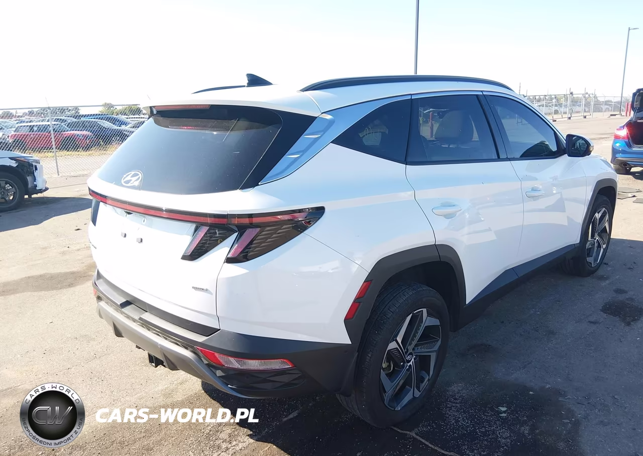 2023 Hyundai Tucson Limited VIN:5NMJECAE9PH263311 - 4