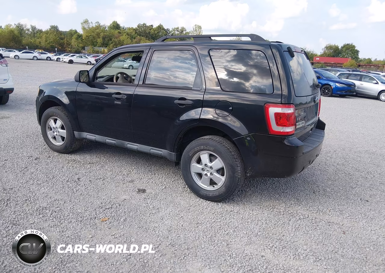 2010 Ford Escape Xlt VIN:1FMCU9DG3AKA30902 - 3