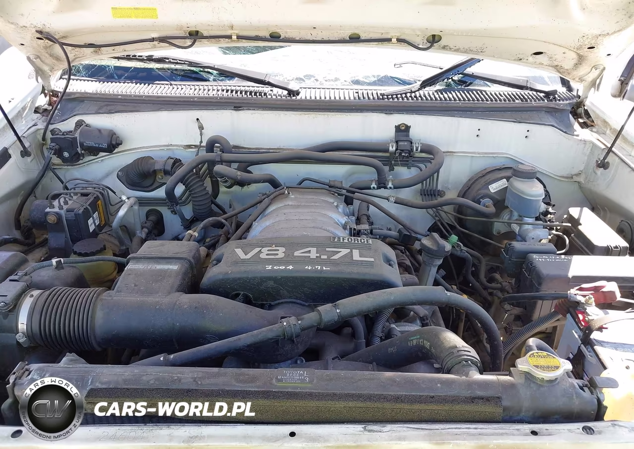 2004 Toyota Sequoia Sr5 V8 VIN:5TDZT34AX4S206156 - 10