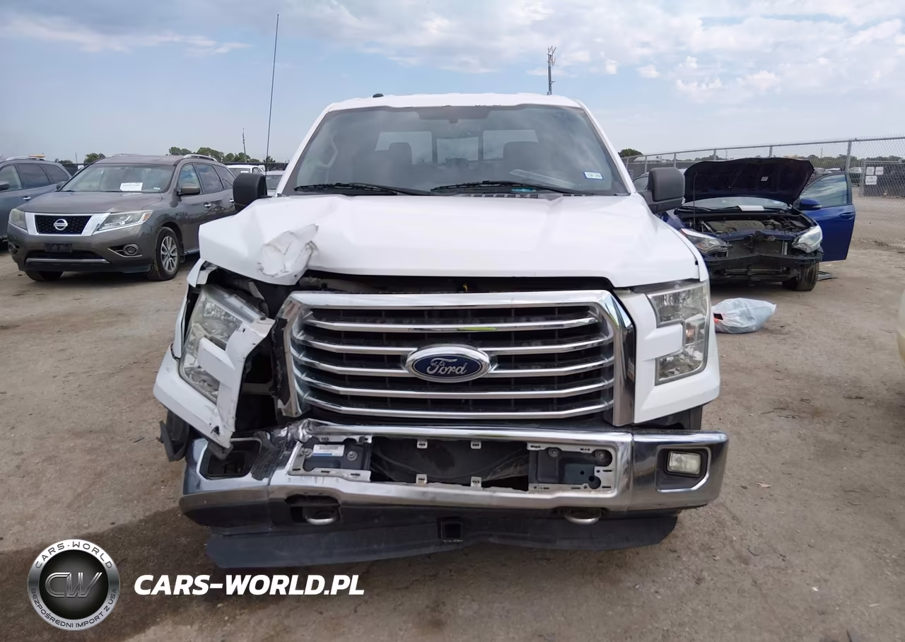 2015 Ford F-150 Xlt VIN:1FTEW1EFXFKD04392 - 12