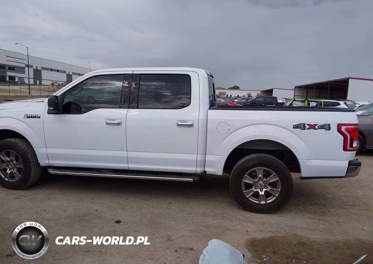 2015 Ford F-150 Xlt VIN:1FTEW1EFXFKD04392 - 14