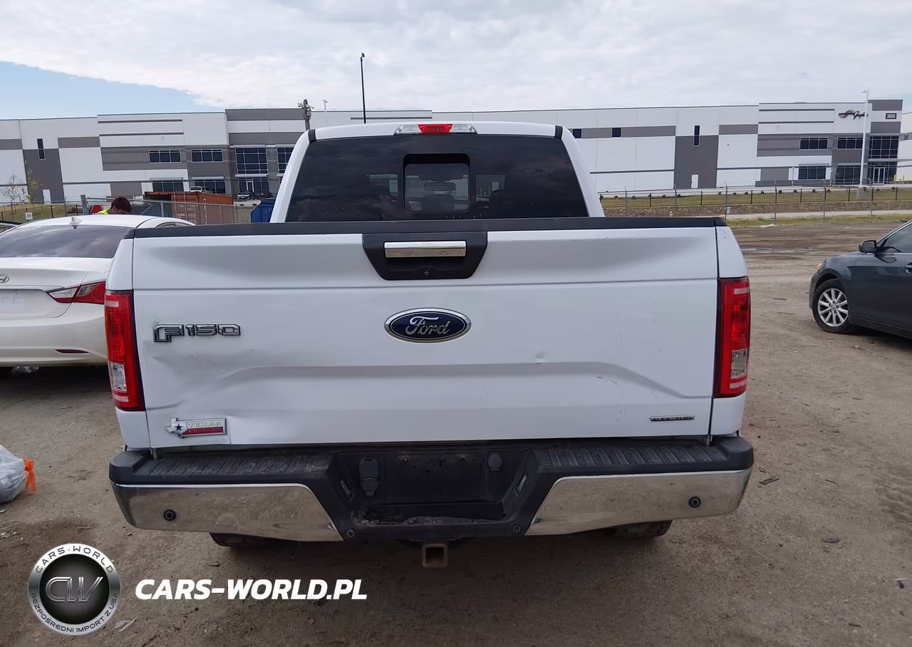 2015 Ford F-150 Xlt VIN:1FTEW1EFXFKD04392 - 16