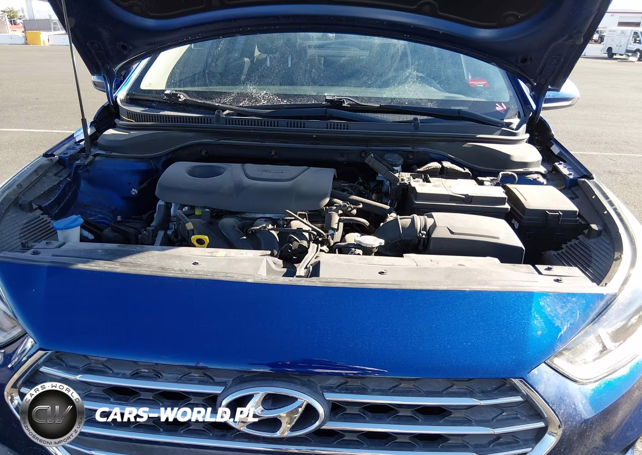 2019 Hyundai Accent Se VIN:3KPC24A39KE040711 - 10