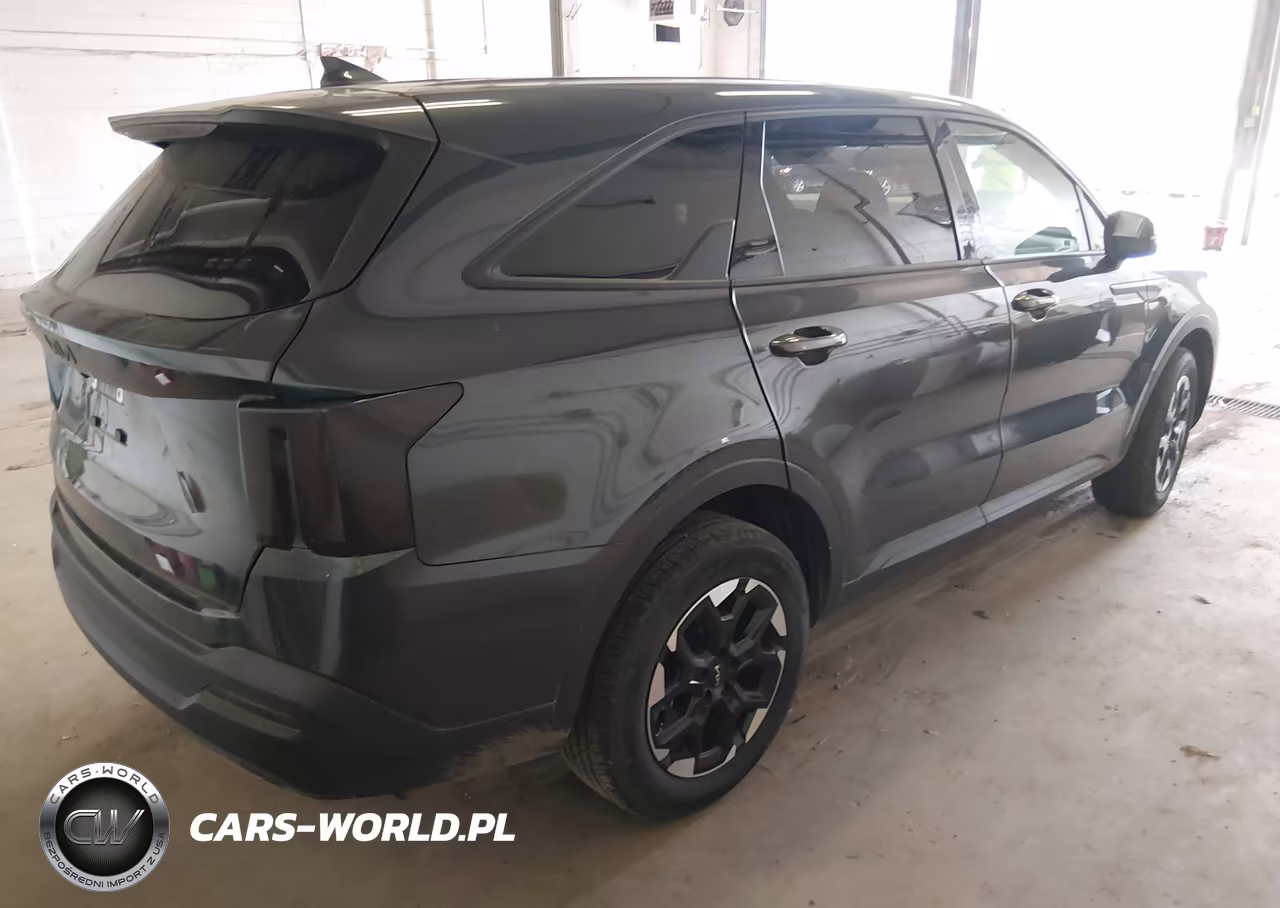 2024 Kia Sorento Lx VIN:5XYRG4JC4RG308993 - 4