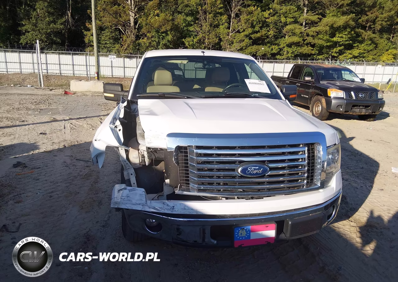 2010 Ford F-150 Fx2 Sport-Lariat-Xl-Xlt VIN:1FTFX1CV8AFA69438 - 12