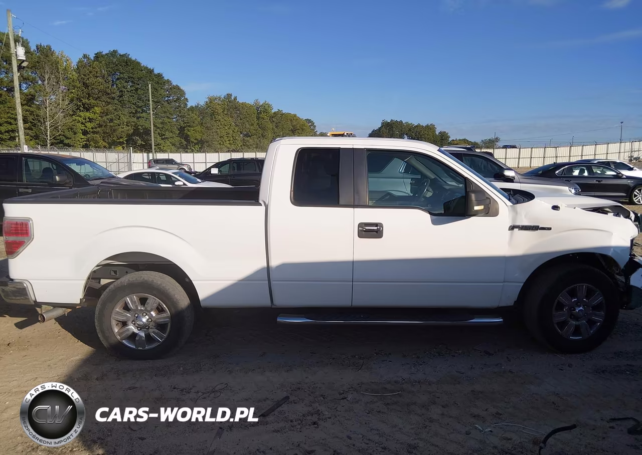 2010 Ford F-150 Fx2 Sport-Lariat-Xl-Xlt VIN:1FTFX1CV8AFA69438 - 13