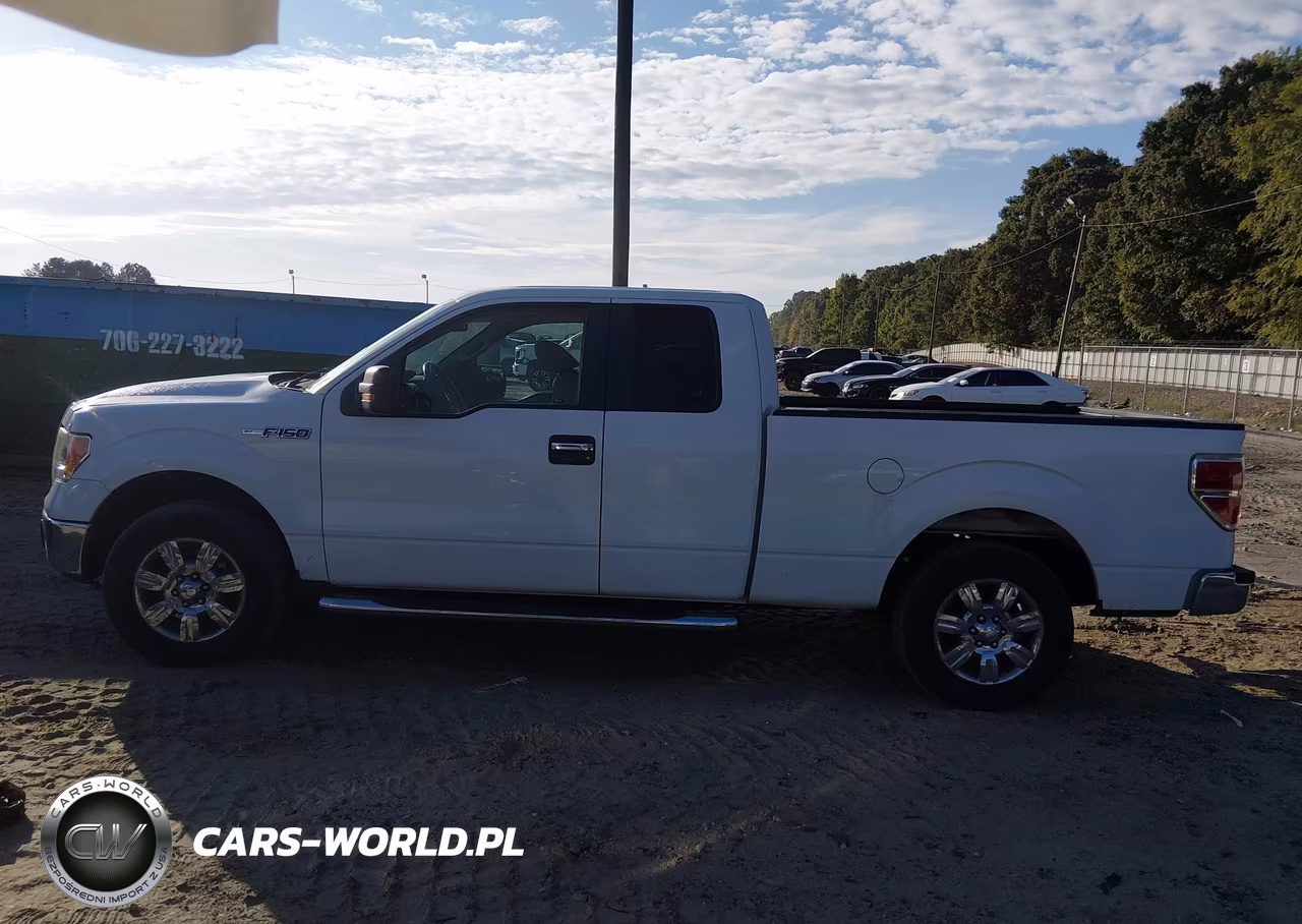 2010 Ford F-150 Fx2 Sport-Lariat-Xl-Xlt VIN:1FTFX1CV8AFA69438 - 14