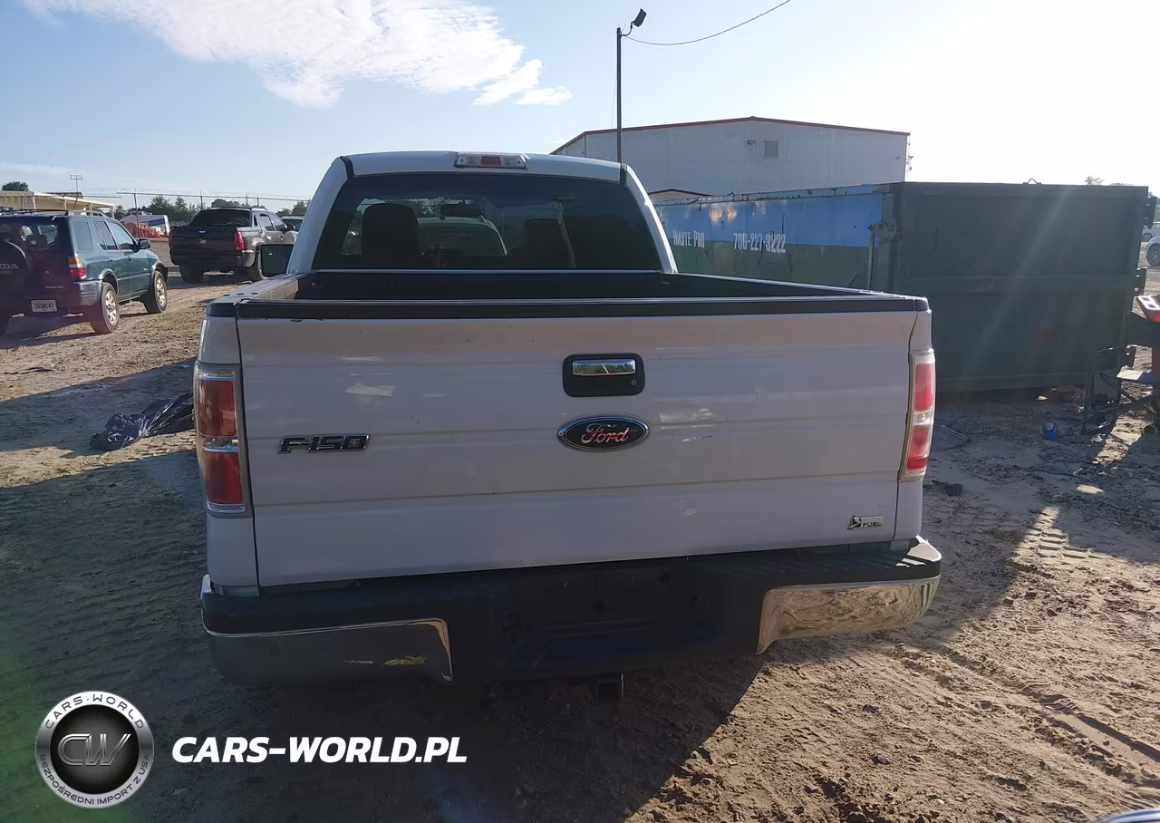 2010 Ford F-150 Fx2 Sport-Lariat-Xl-Xlt VIN:1FTFX1CV8AFA69438 - 16