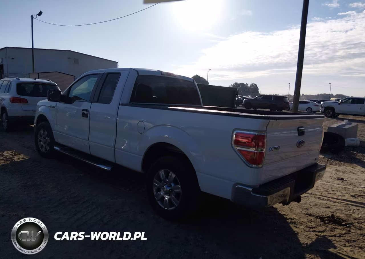 2010 Ford F-150 Fx2 Sport-Lariat-Xl-Xlt VIN:1FTFX1CV8AFA69438 - 3