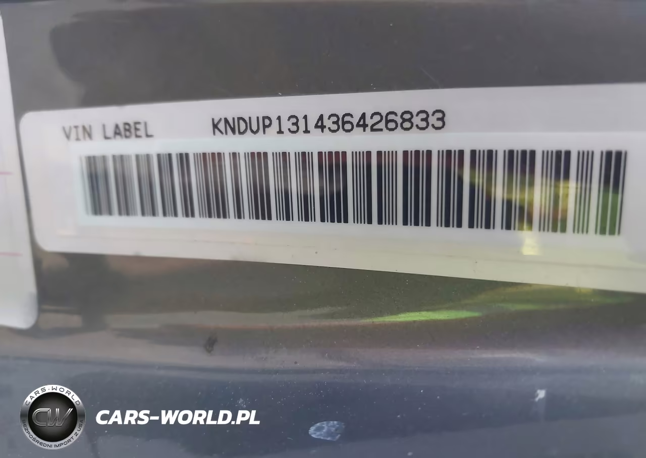 2003 Kia Sedona Ex-Lx VIN:KNDUP131436426833 - 9