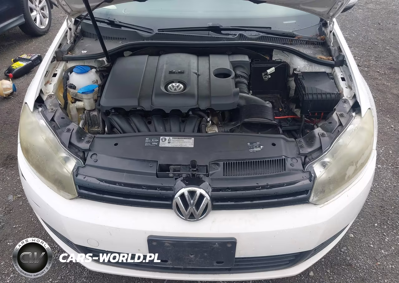 2010 Volkswagen Golf 2-Door VIN:WVWBA7AJ5AW283290 - 6
