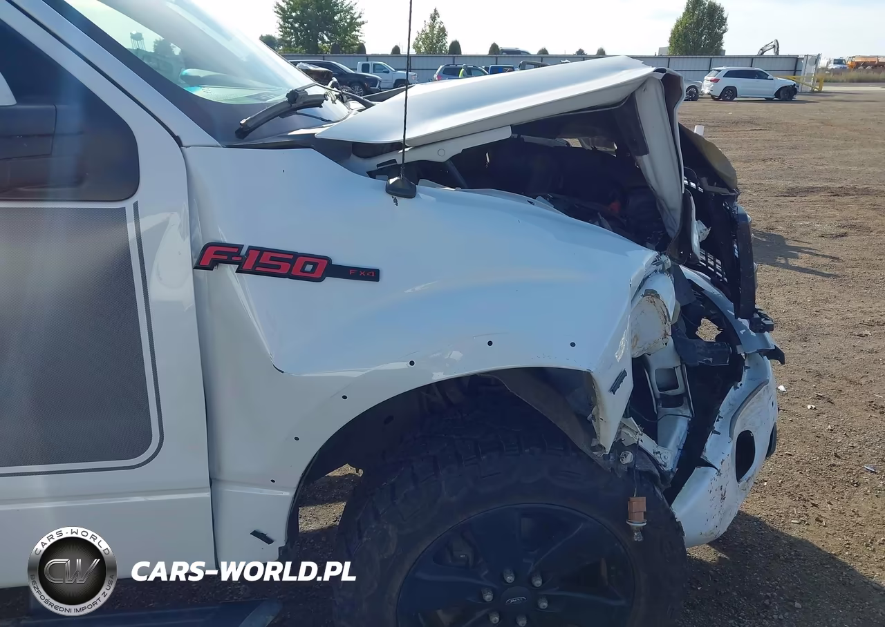 2013 Ford F-150 Fx4 VIN:1FTFW1ET2DFD35622 - 18