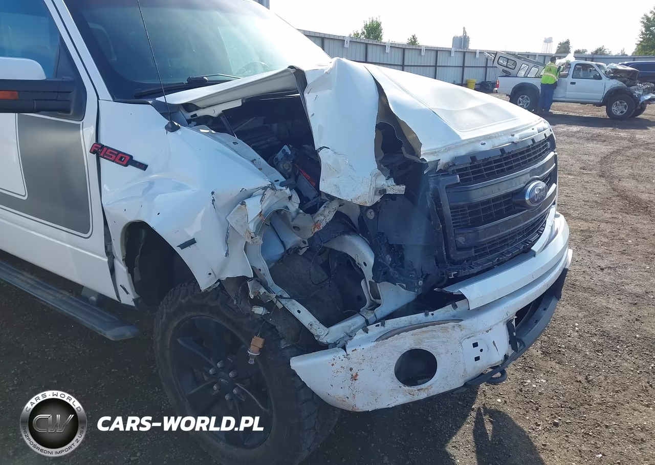2013 Ford F-150 Fx4 VIN:1FTFW1ET2DFD35622 - 19