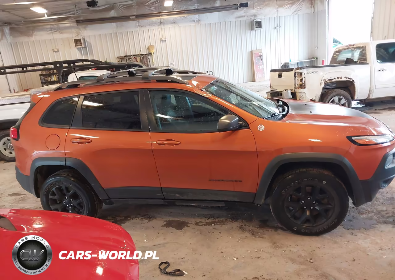 2016 Jeep Cherokee Trailhawk VIN:1C4PJMBS5GW141946 - 13