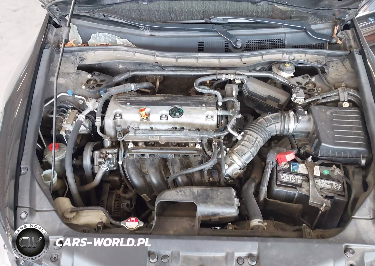 2010 Honda Accord 2.4 Ex VIN:1HGCP2F70AA117972 - 10