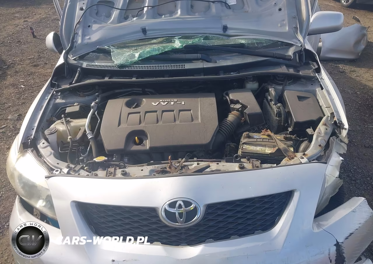 2010 Toyota Corolla Xle VIN:2T1BU4EE1AC285677 - 10