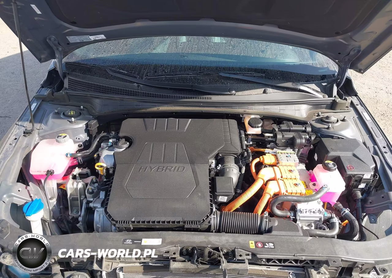 2024 Hyundai Elantra Hybrid Limited VIN:KMHLN4DJ7RU107685 - 10