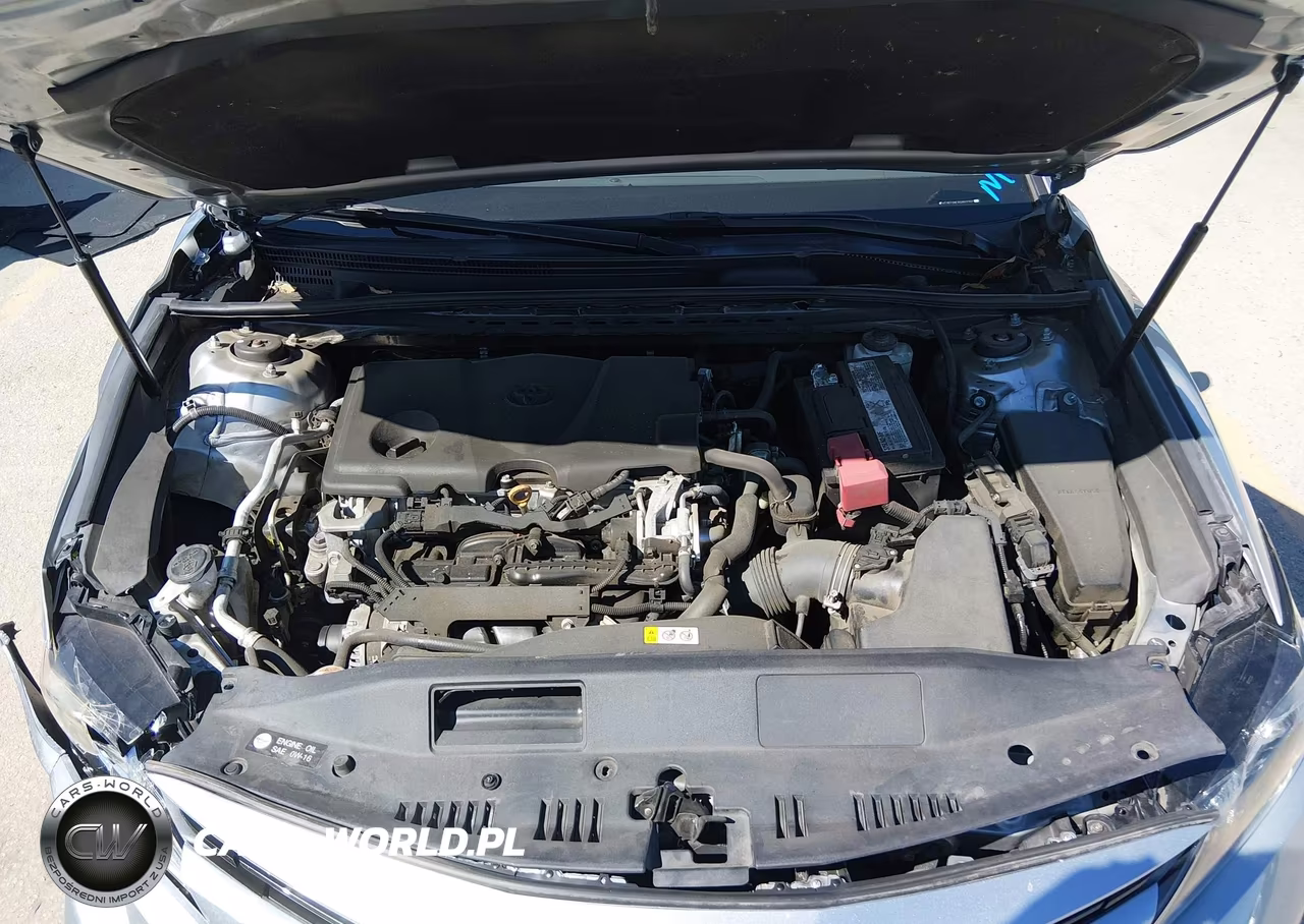 2019 Toyota Camry Le VIN:4T1B11HK1KU843102 - 10