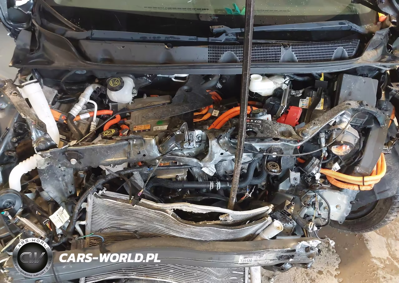 2017 Chevrolet Bolt Ev Premier VIN:1G1FX6S0XH4187265 - 10