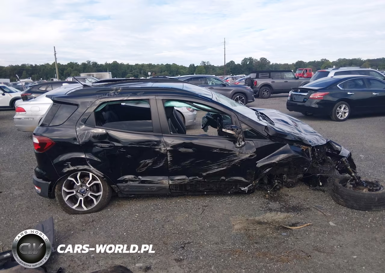 2020 Ford Ecosport Ses VIN:MAJ6S3JL7LC341094 - 13