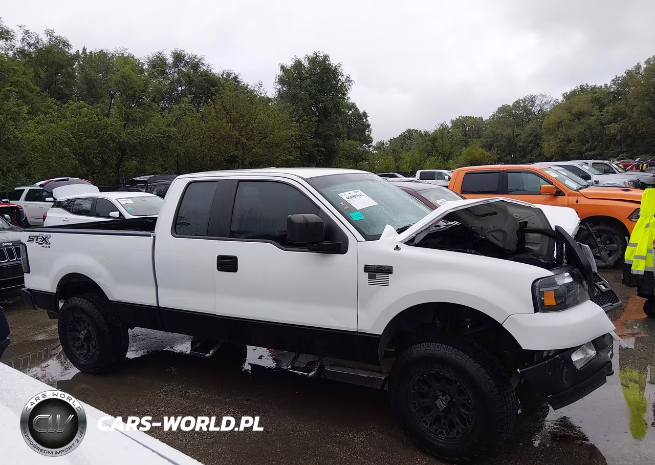 2005 Ford F-150 Stx-Xl-Xlt VIN:1FTRX14W95FA95783 - 13