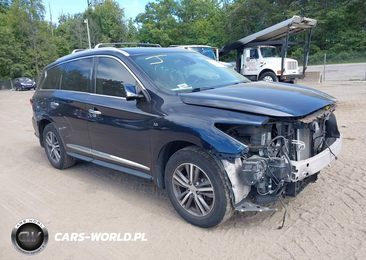 2019 Infiniti Qx60 Luxe VIN:5N1DL0MM6KC569552 - 1
