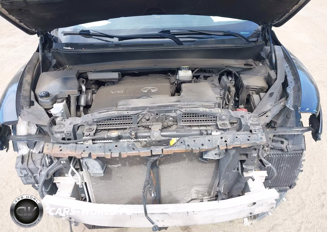 2019 Infiniti Qx60 Luxe VIN:5N1DL0MM6KC569552 - 10
