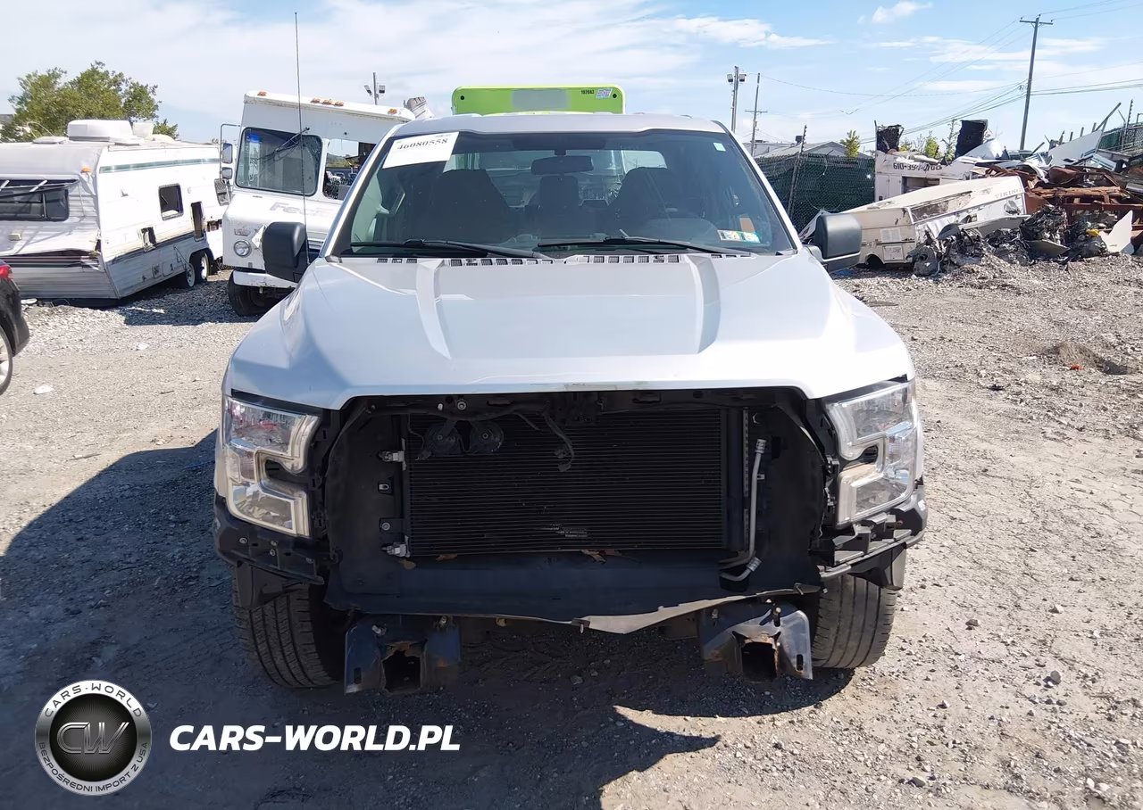 2015 Ford F-150 Xl VIN:1FTEX1CF2FFC44861 - 12