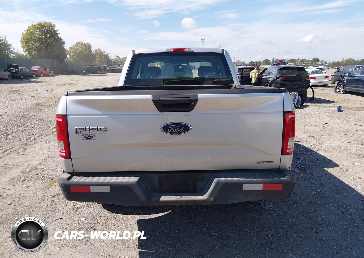 2015 Ford F-150 Xl VIN:1FTEX1CF2FFC44861 - 16