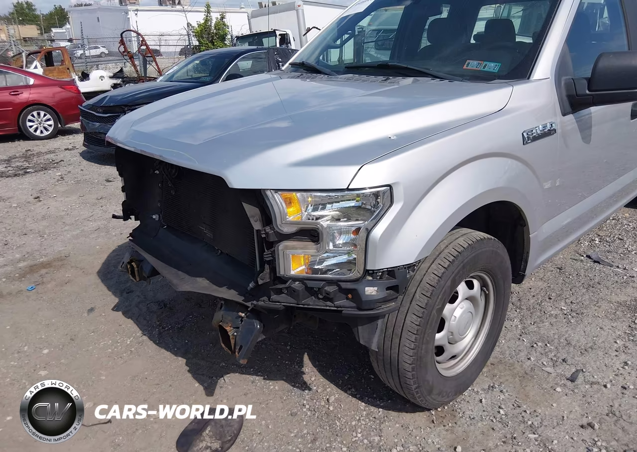 2015 Ford F-150 Xl VIN:1FTEX1CF2FFC44861 - 17