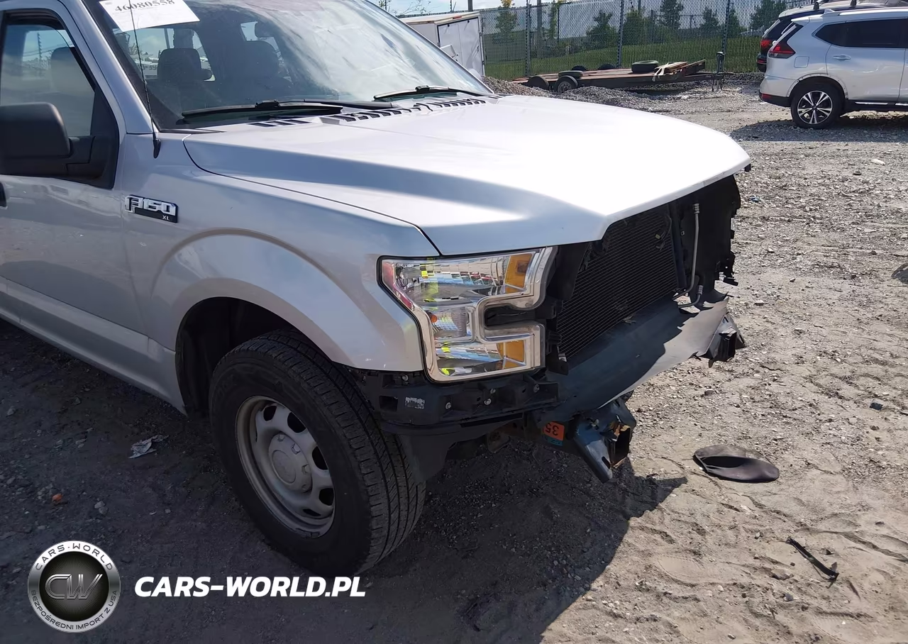2015 Ford F-150 Xl VIN:1FTEX1CF2FFC44861 - 18