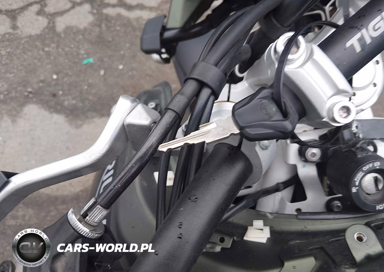 2021 Triumph Motorcycle Tiger 900 Rally Pro VIN:SMTE67DF2MTAD4912 - 11