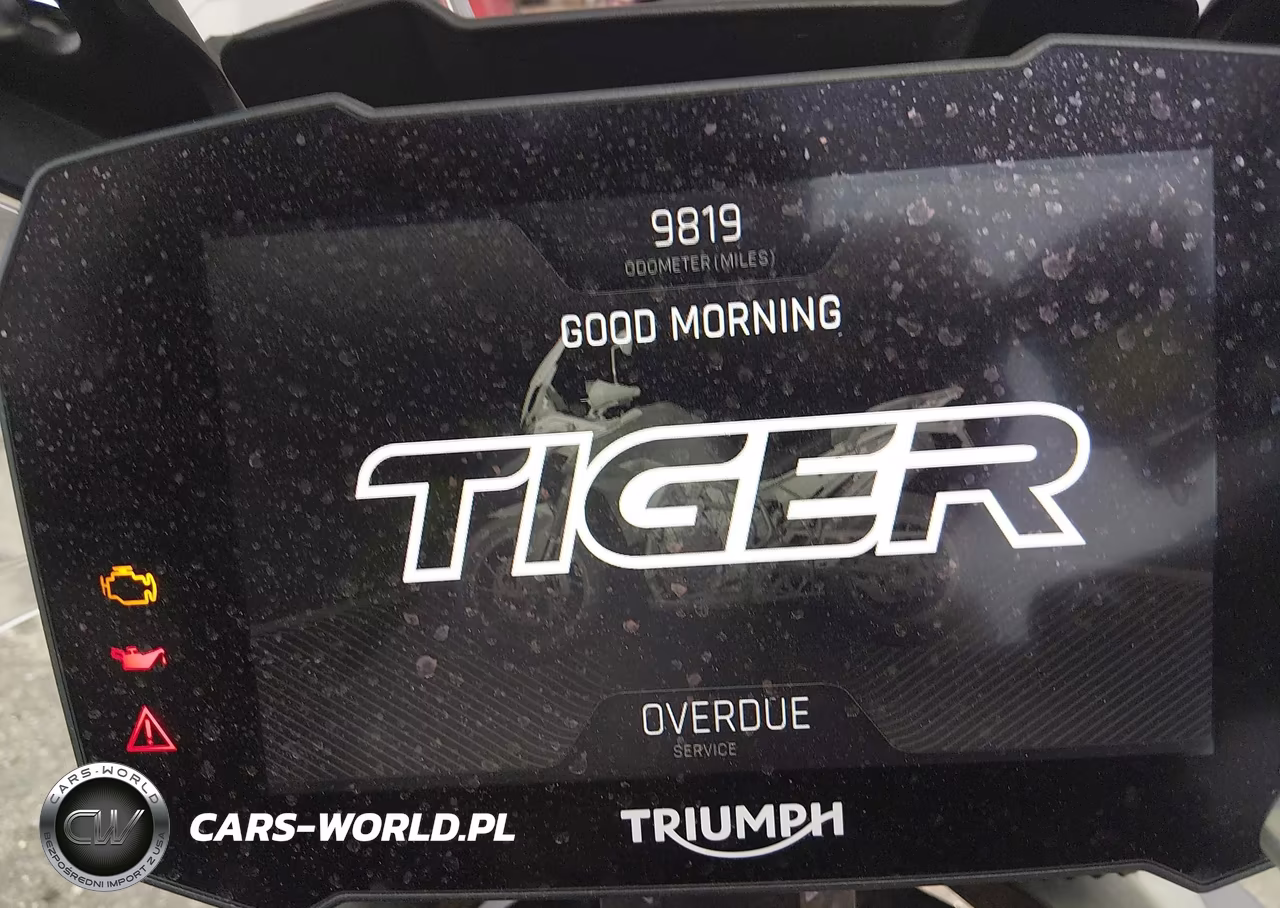 2021 Triumph Motorcycle Tiger 900 Rally Pro VIN:SMTE67DF2MTAD4912 - 7