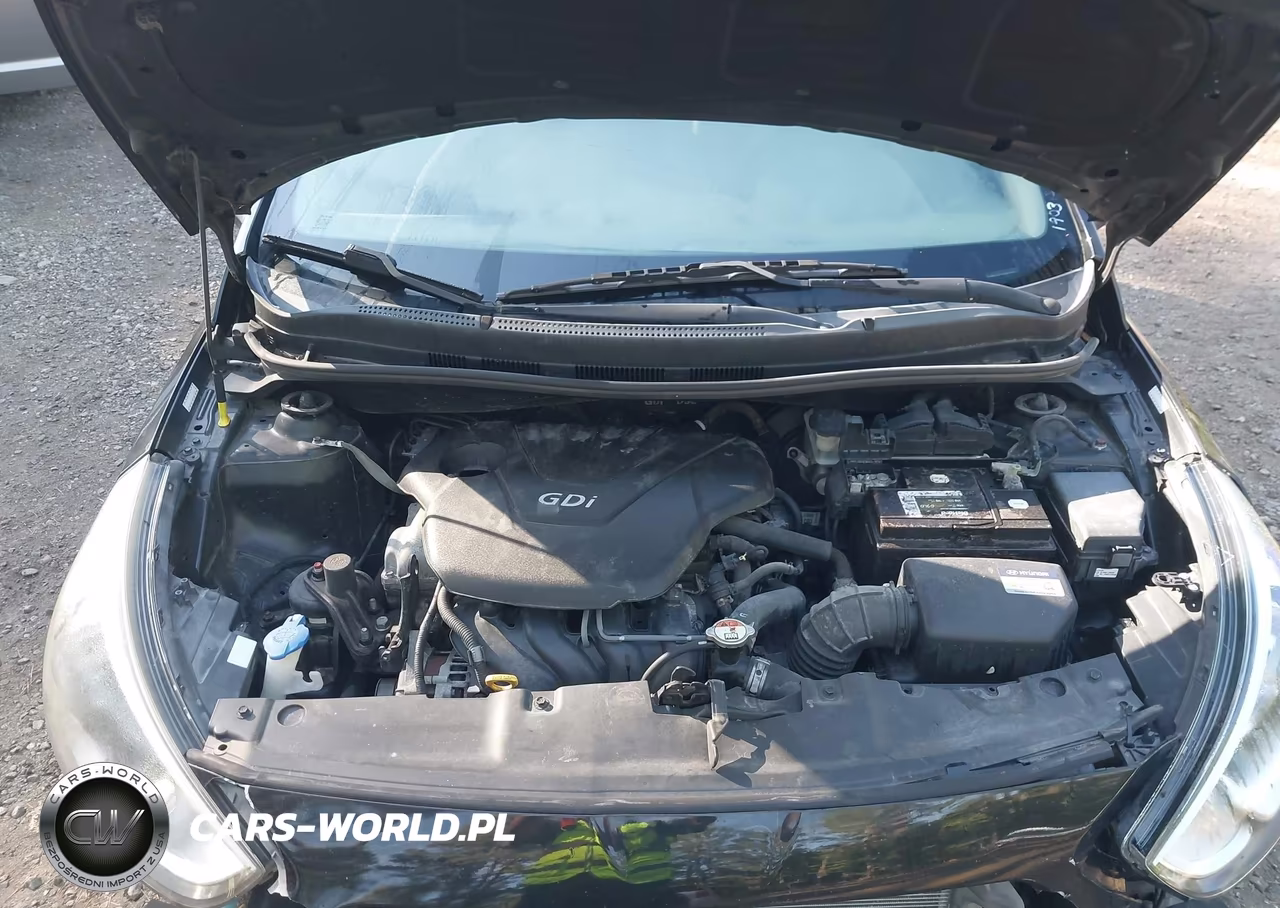 2016 Hyundai Accent Se VIN:KMHCT4AE6GU007426 - 10