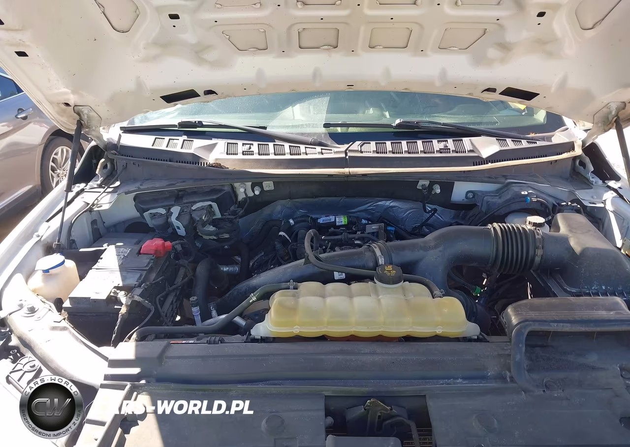 2020 Ford F-150 Xl VIN:1FTEX1EP6LFC80019 - 10