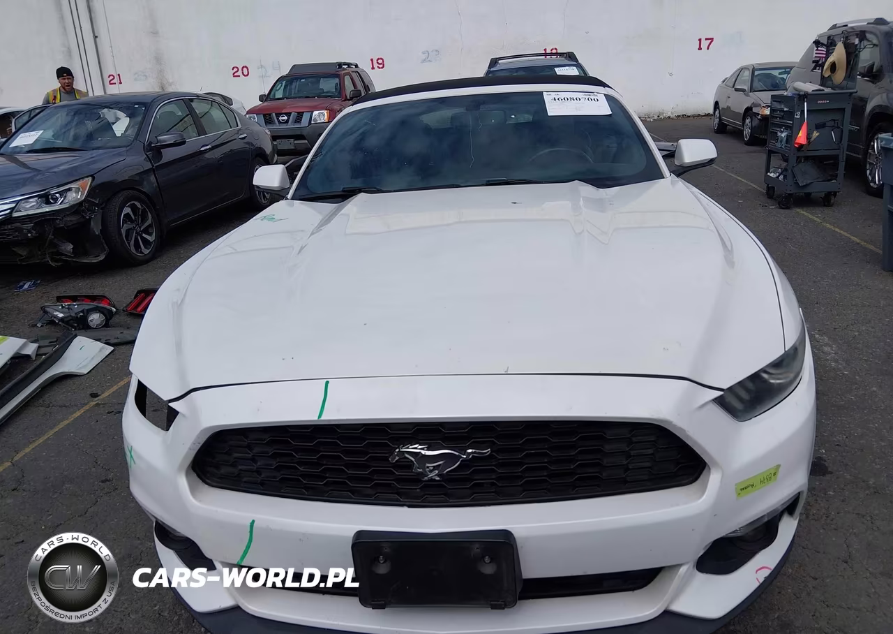 2017 Ford Mustang Ecoboost Premium VIN:1FATP8UH6H5214969 - 13