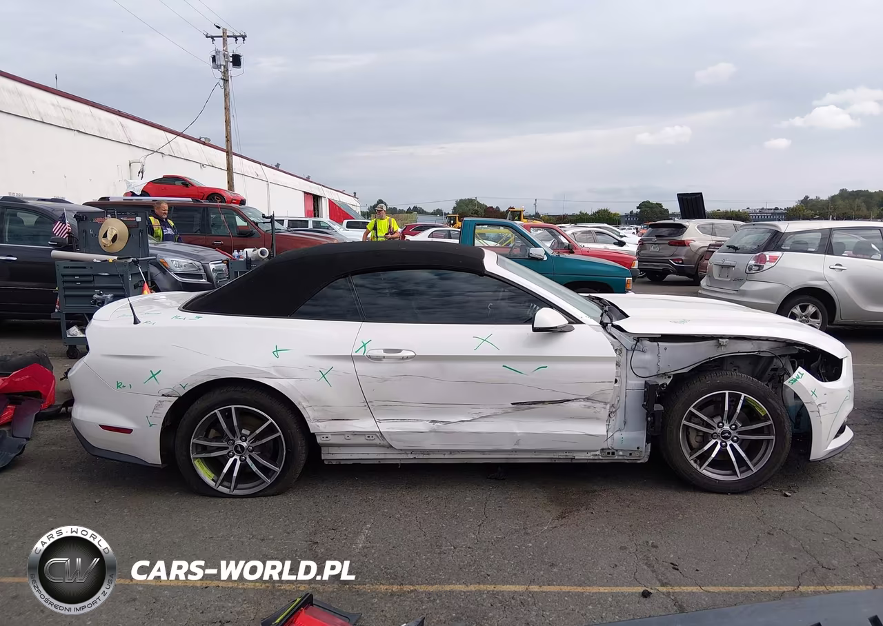 2017 Ford Mustang Ecoboost Premium VIN:1FATP8UH6H5214969 - 14