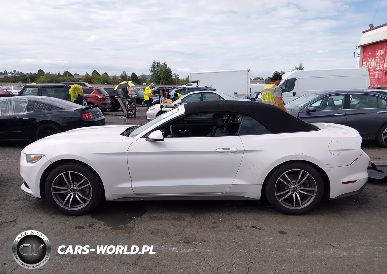 2017 Ford Mustang Ecoboost Premium VIN:1FATP8UH6H5214969 - 15