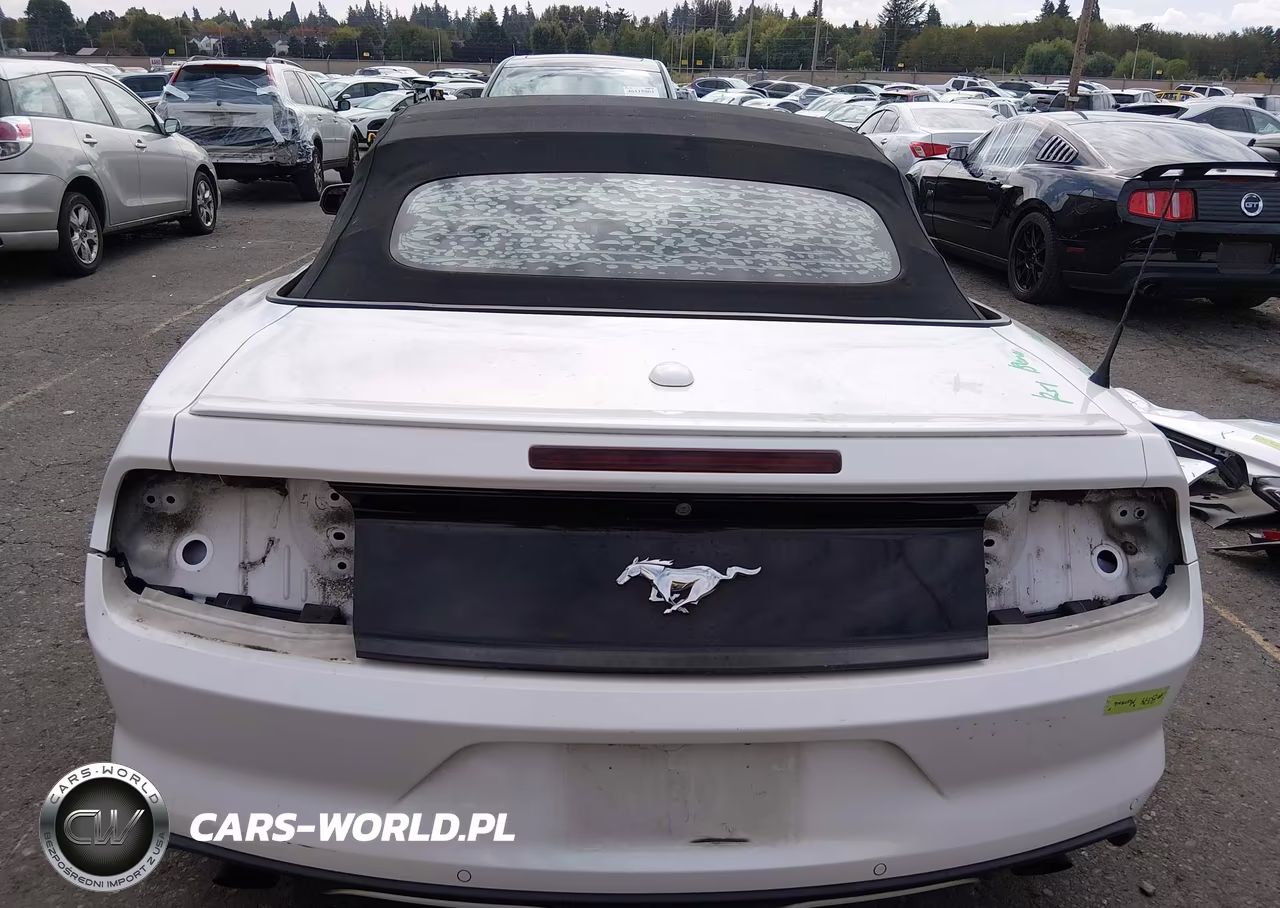 2017 Ford Mustang Ecoboost Premium VIN:1FATP8UH6H5214969 - 17