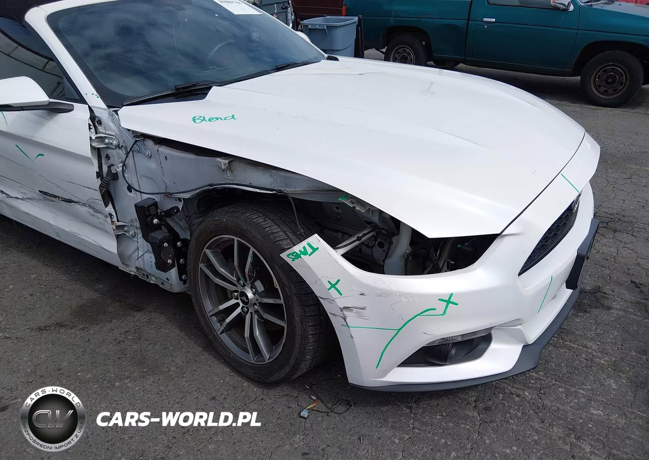 2017 Ford Mustang Ecoboost Premium VIN:1FATP8UH6H5214969 - 18