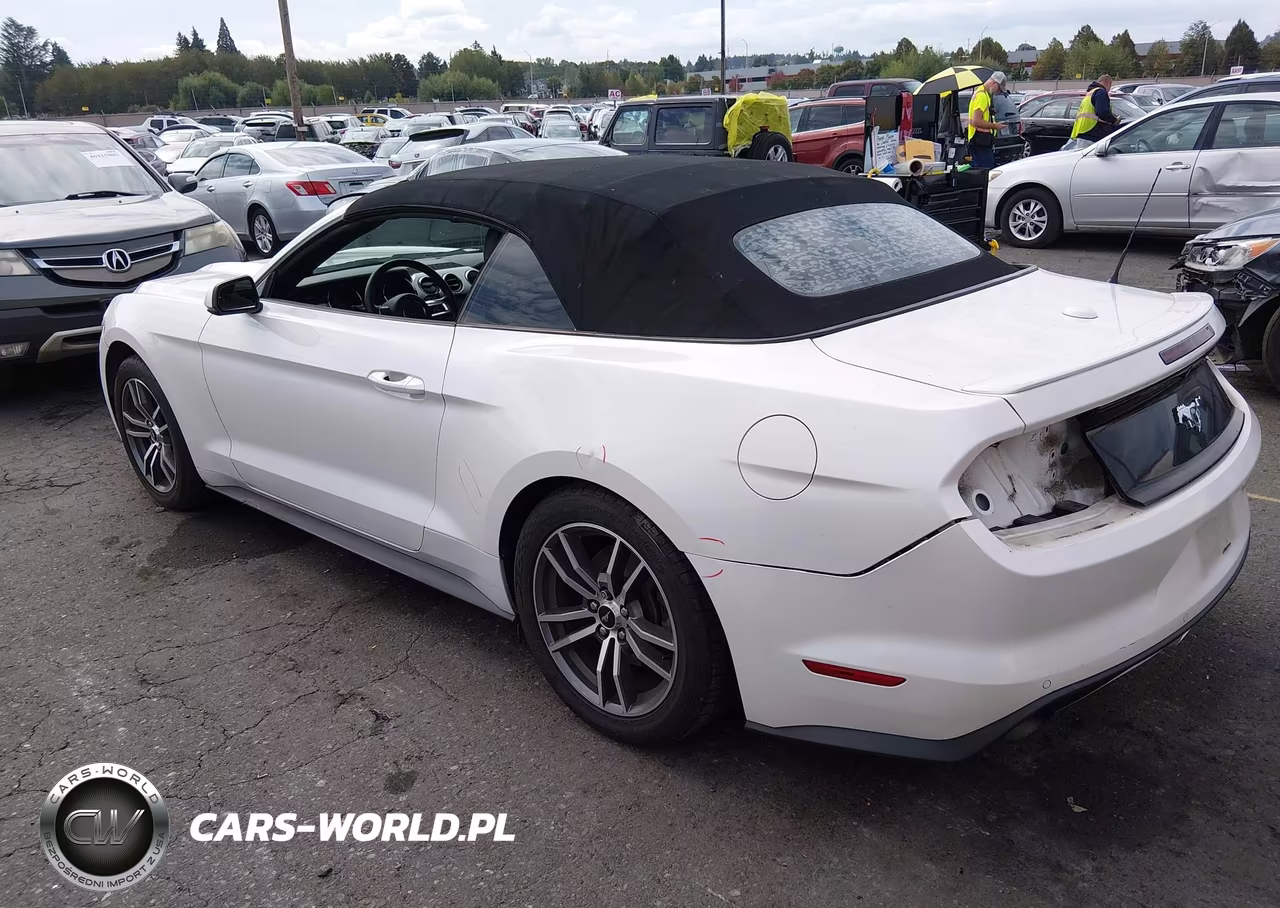 2017 Ford Mustang Ecoboost Premium VIN:1FATP8UH6H5214969 - 3
