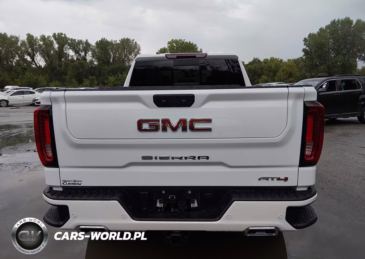 2025 GMC Sierra 1500 4Wd Standard Box At4 VIN:3GTUUEE87SG339015 - 17
