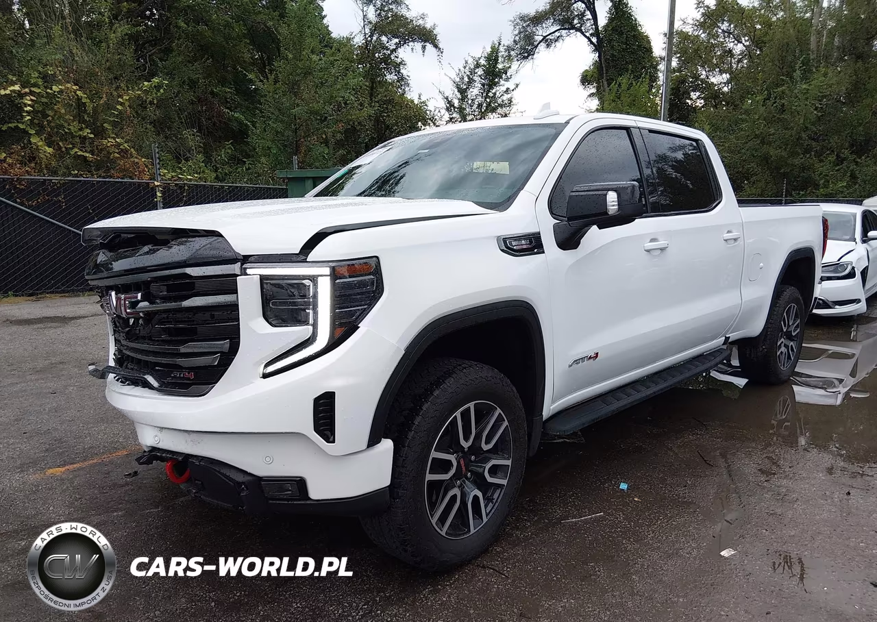 2025 GMC Sierra 1500 4Wd Standard Box At4 VIN:3GTUUEE87SG339015 - 2