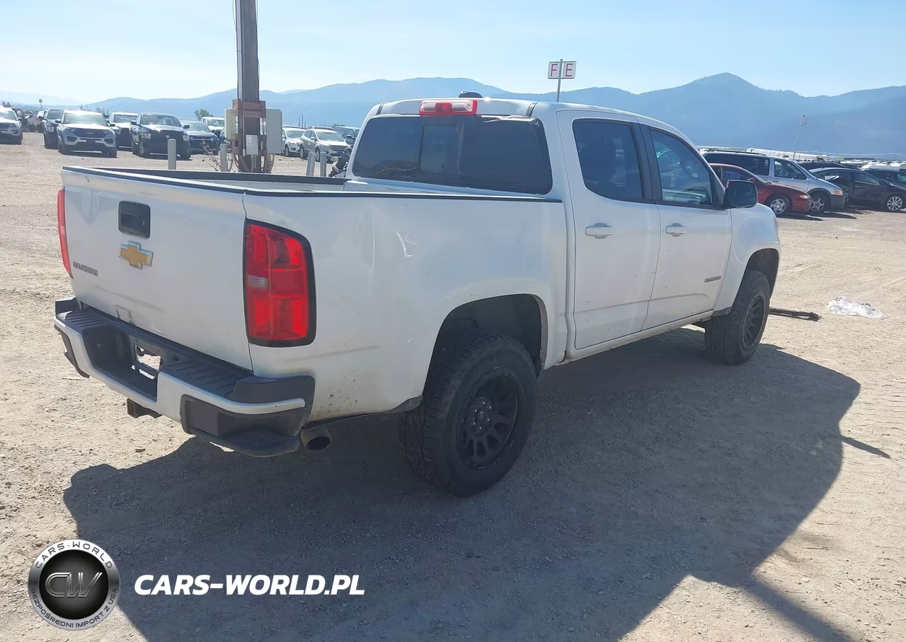 2016 Chevrolet Colorado Z71 VIN:1GCGTDE37G1145024 - 4