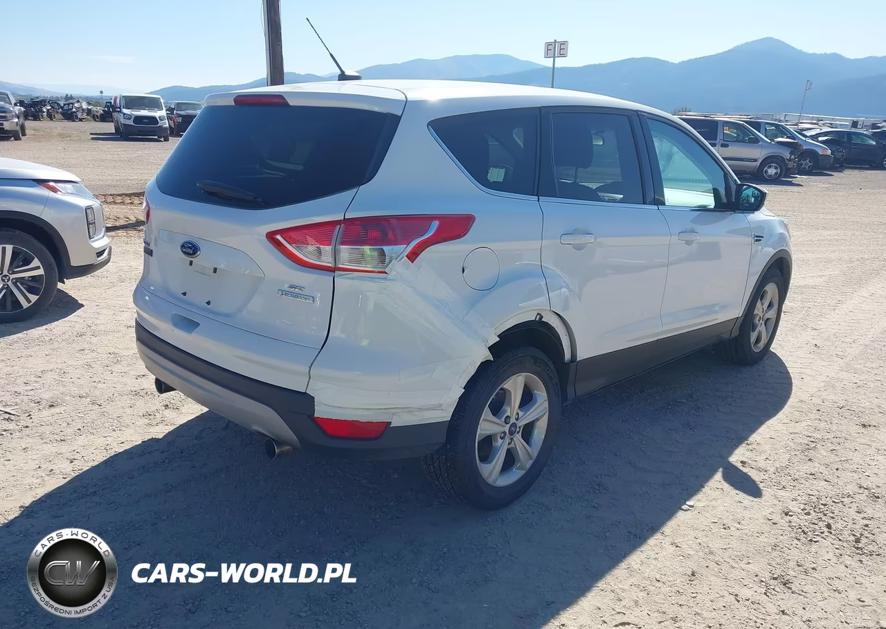 2013 Ford Escape Se VIN:1FMCU0GX9DUD16950 - 4